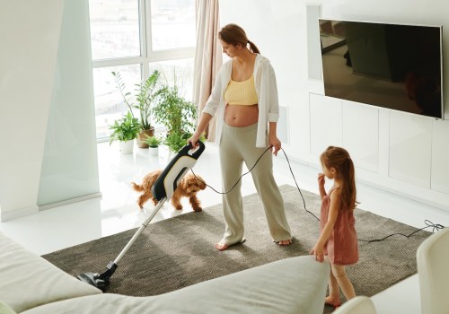 Save Money And Achieve Superior Results: Why Carpet Steam Cleaners Trump House Cleaning Services In Lexington