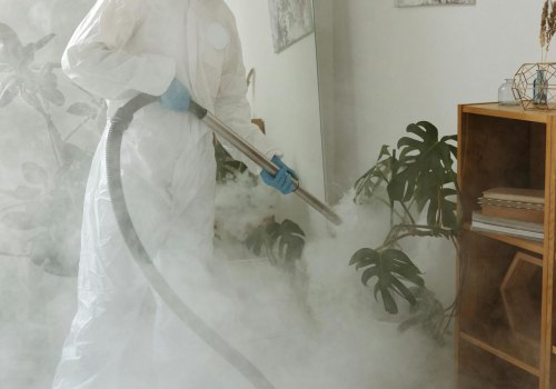 House Cleaning Service Solutions: How Can Pest Control Help Keep Your Home Clean And Pest-Free In Calgary