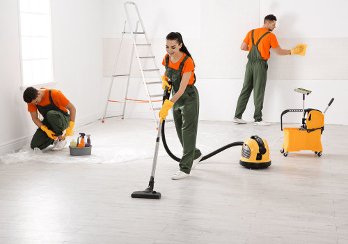 Why Is Collaborating With A Pest Control Service Provider Important During Home Cleaning In Las Vegas, NV?